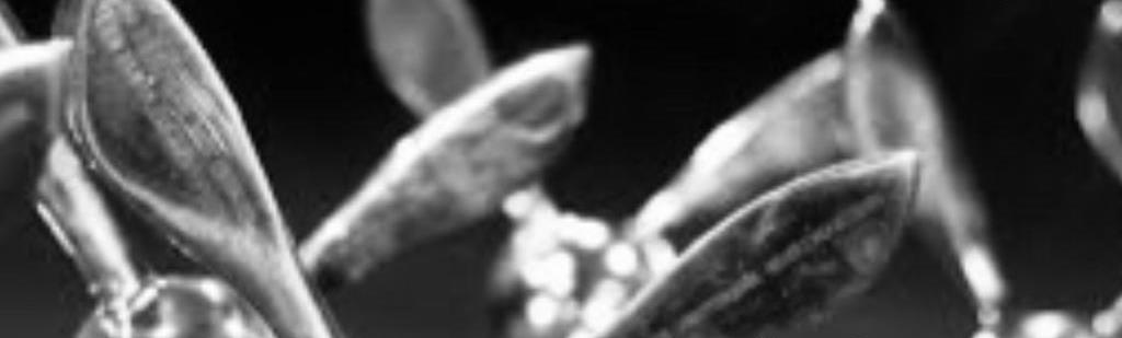 Inscrições 4º Prêmio Mix Literário (2022)